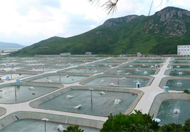 水产养殖管理系统